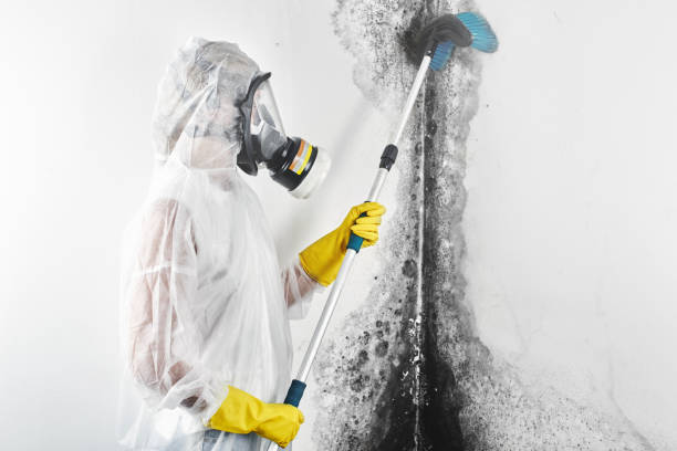 Best Post-Remediation Verification Testing  in Forest City, FL
