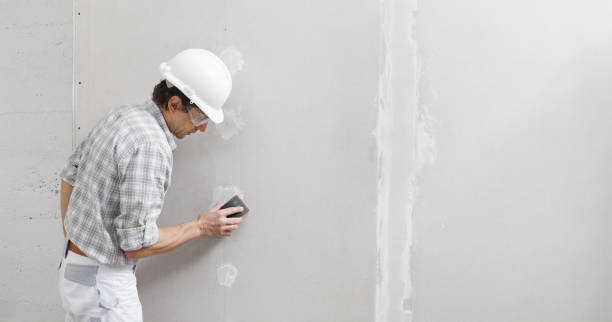  Forest City, FL Mold Removal Pros