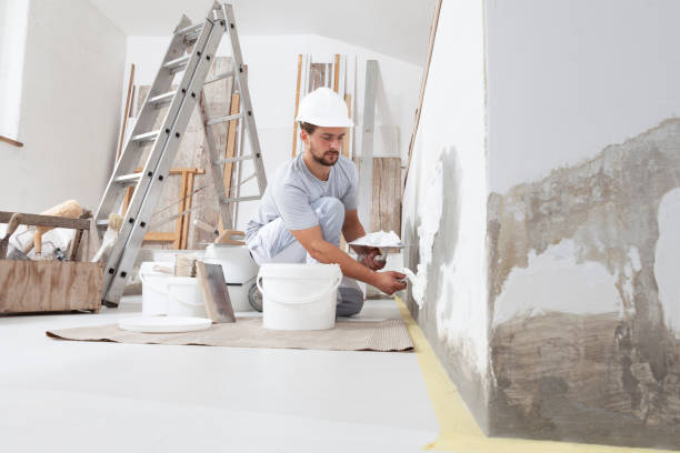 Best Forensic Mold Investigation  in Forest City, FL