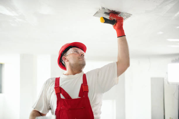 Best Basement Mold Removal  in Forest City, FL