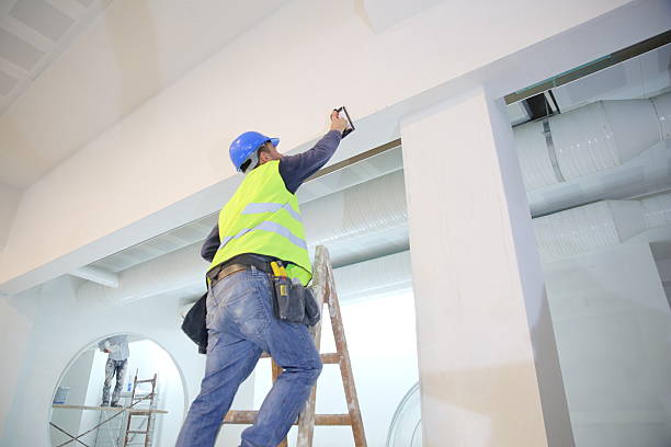 Best Mold Prevention Services  in Forest City, FL